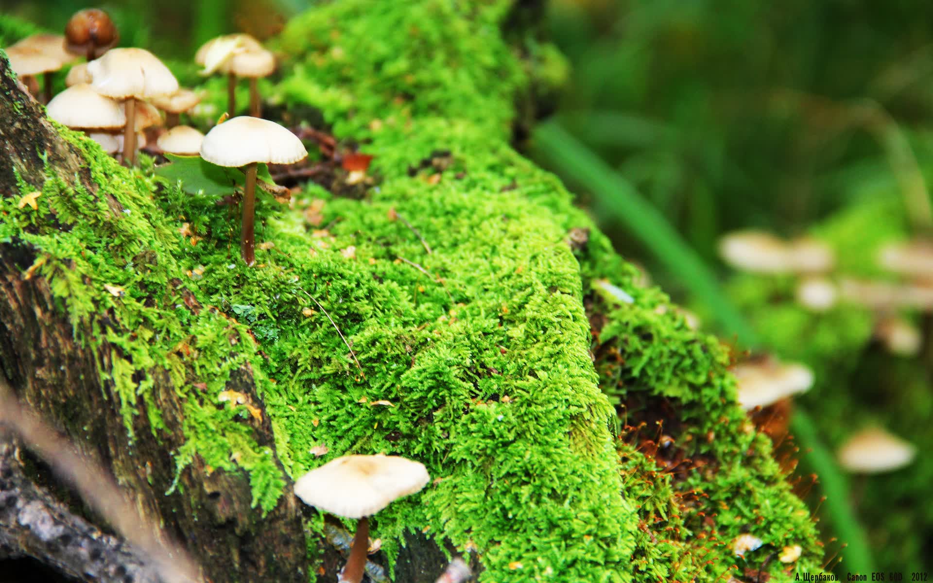 World举重康复研究中心牵手高校共建(含英文词汇):产学研协同推进